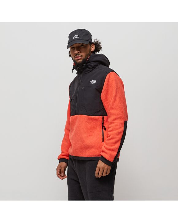 Anorak en best sale polaire denali 2