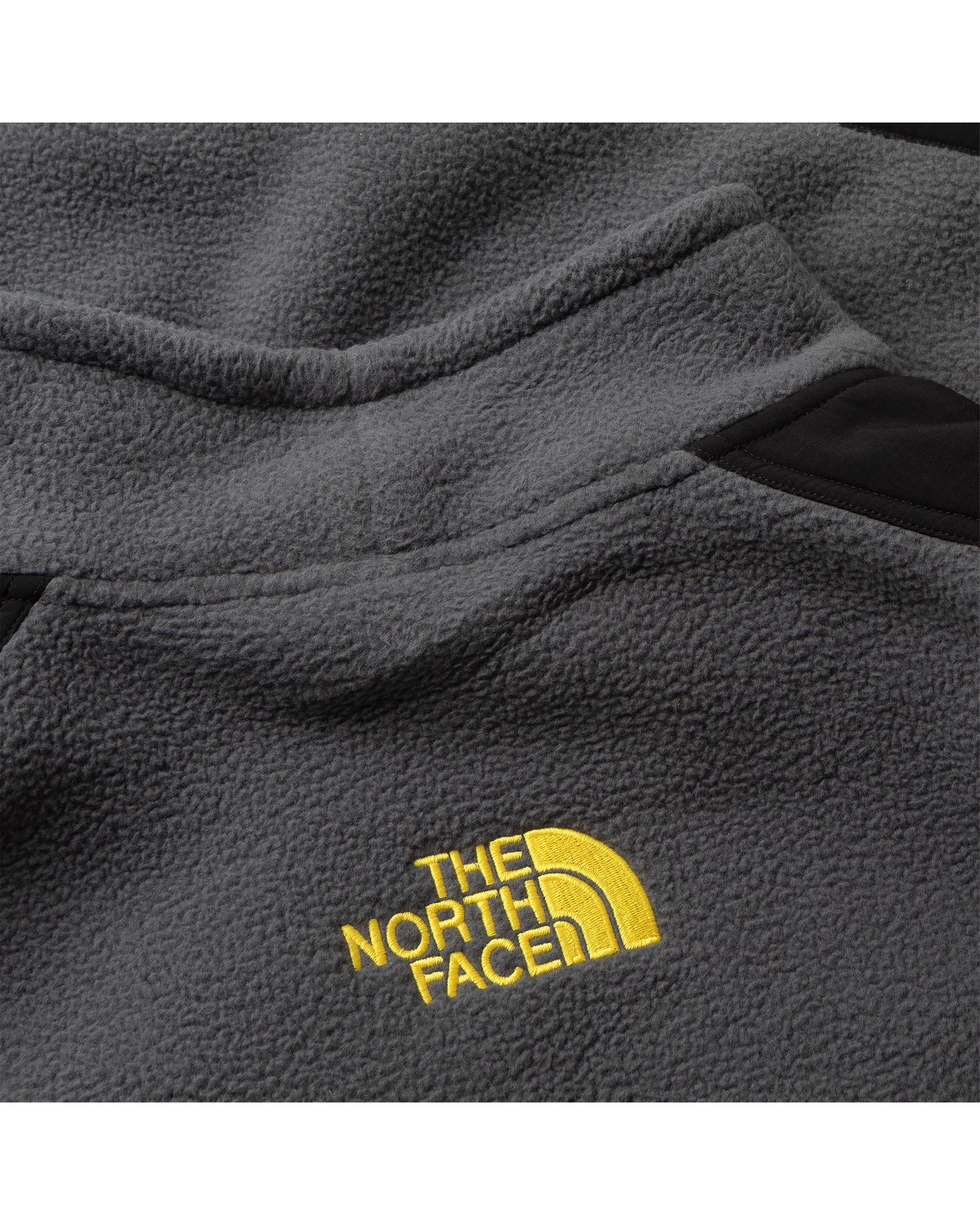 WMNS STEEP TECH FLEECE JACKET