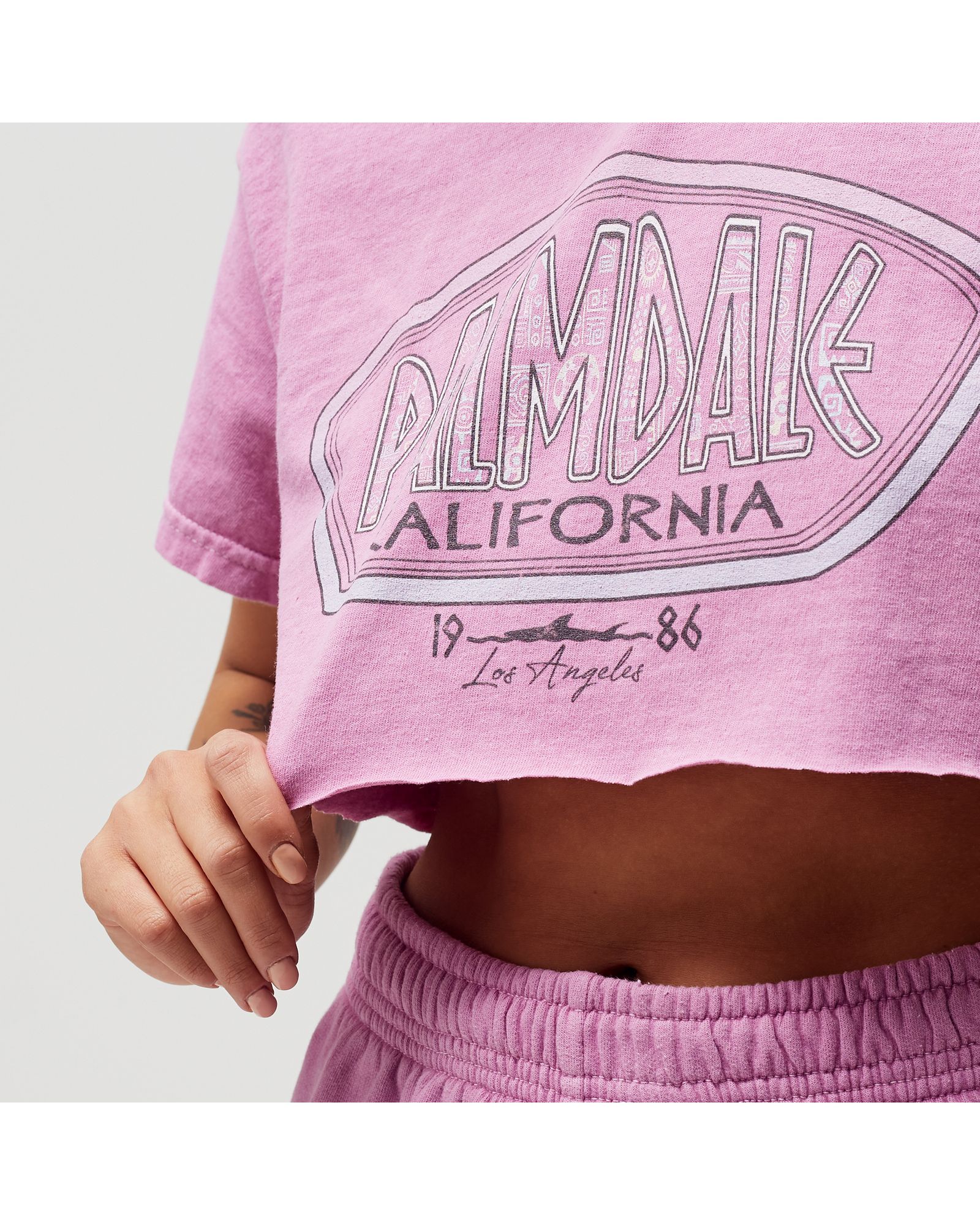 Palm Dale Crop Tee