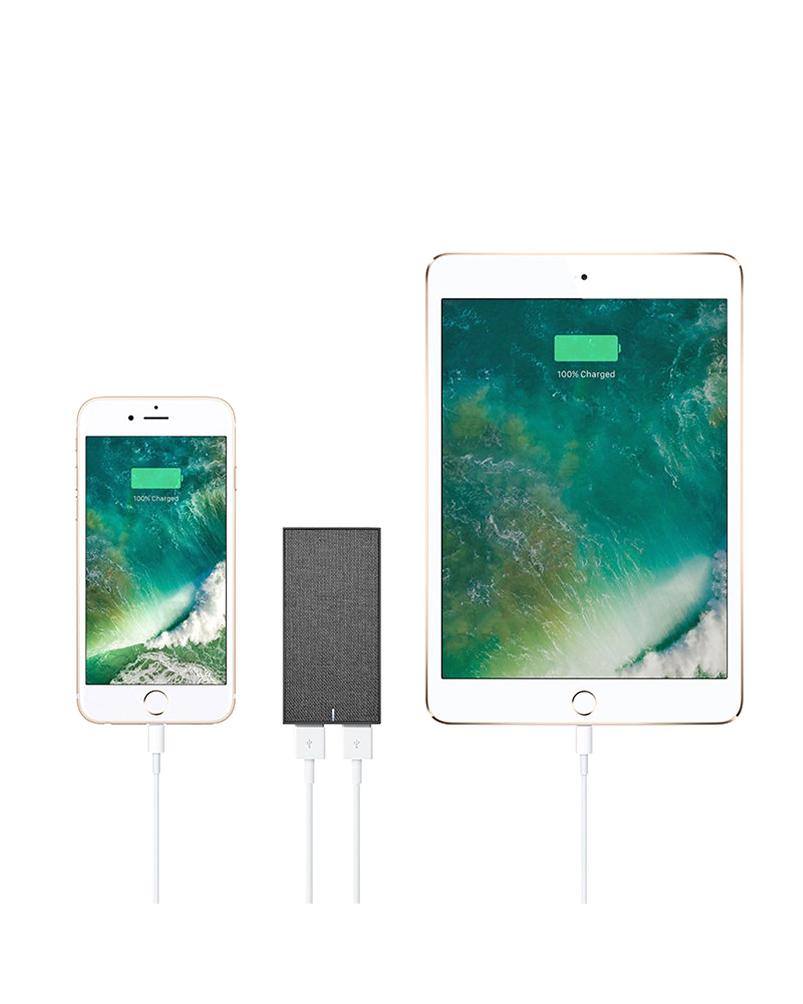 SMART CHARGER-DUAL USB FABRIC