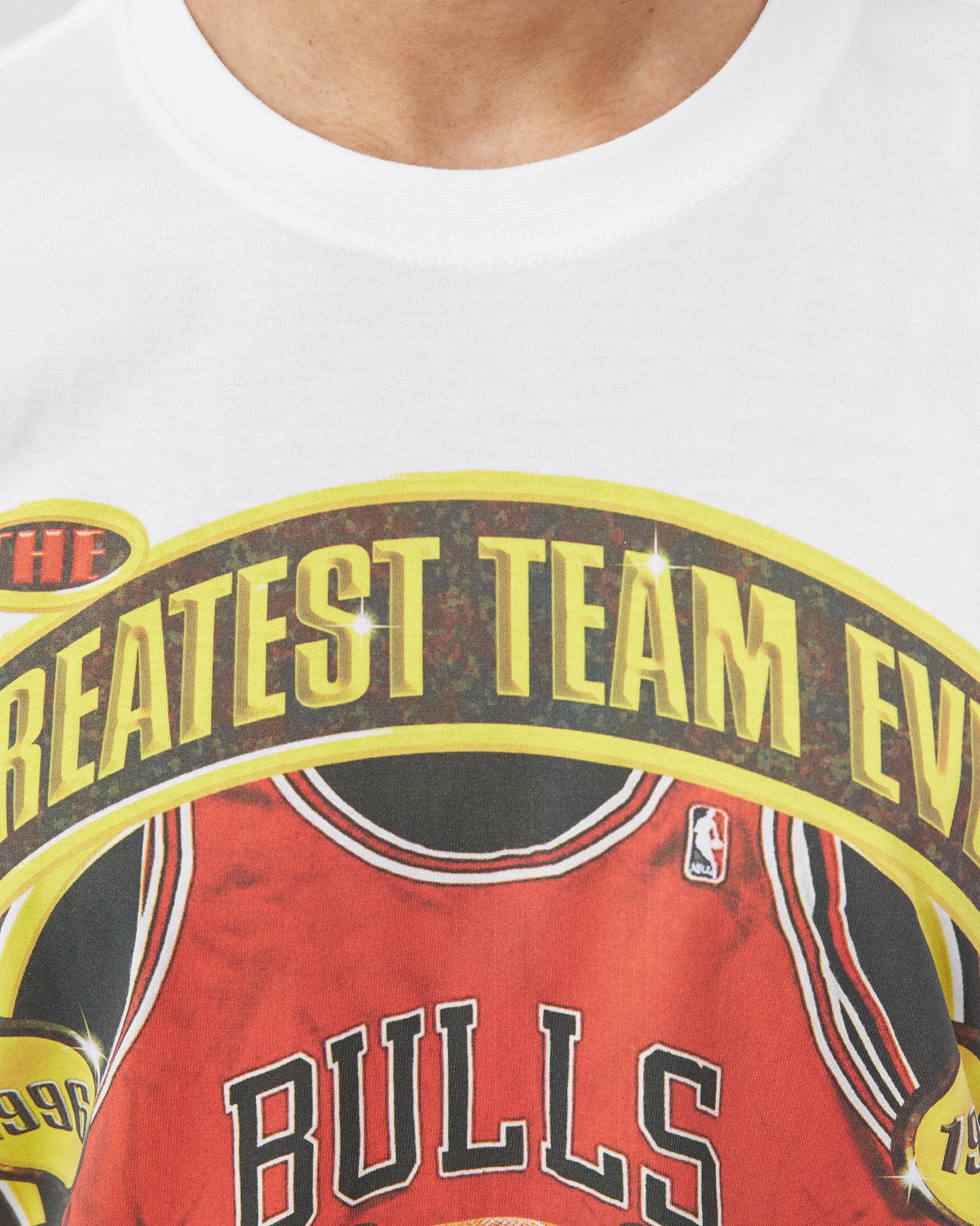 CHICAGO BULLS Champions Print Tee
