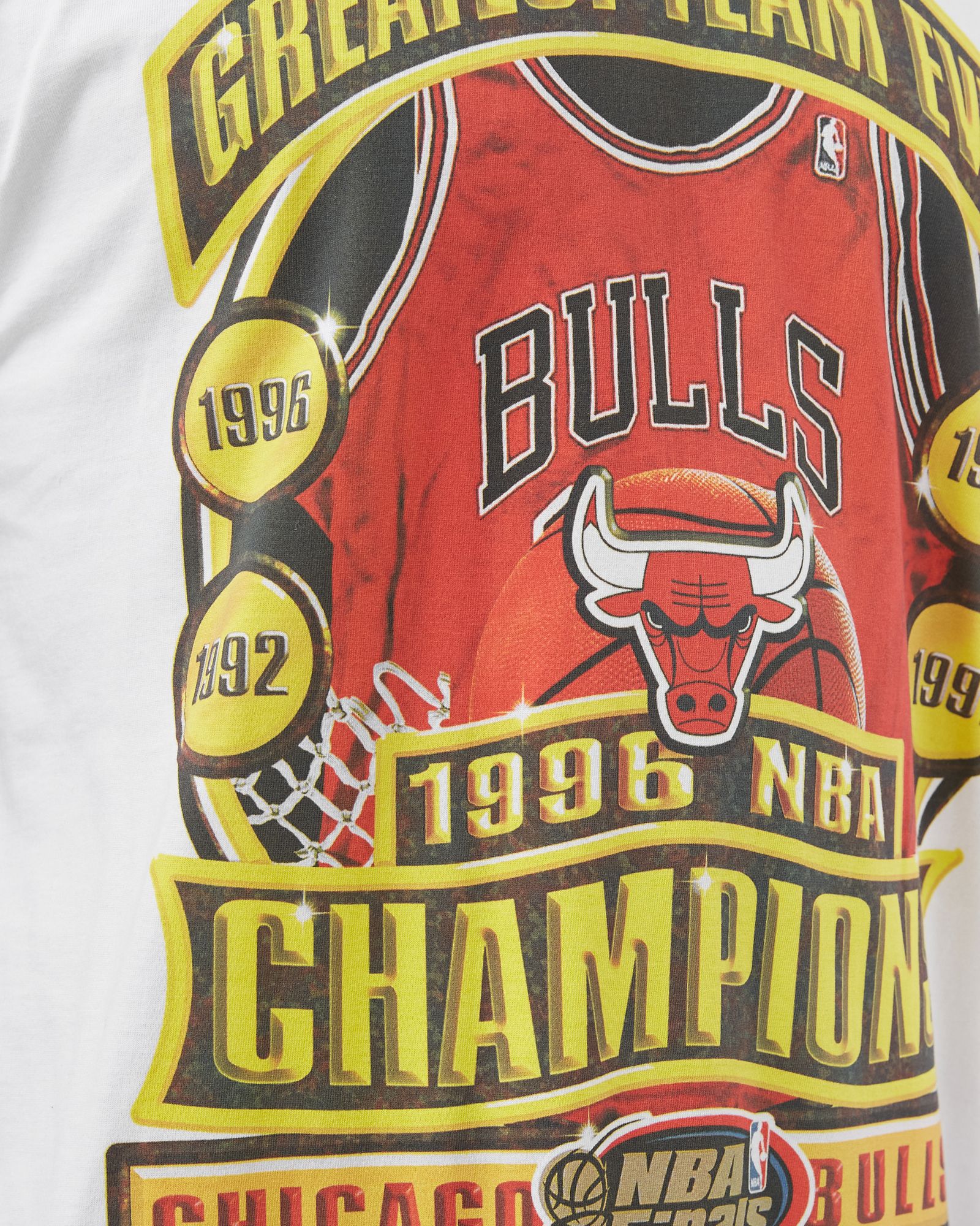 CHICAGO BULLS Champions Print Tee