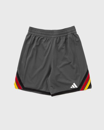 Adidas DBB Basketball Training Shorts, grey