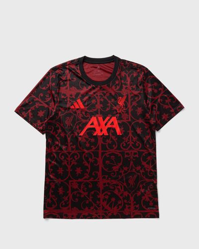 Adidas LIVERPOOL FC 25/26 PRE MATCH JERSEY, black|red