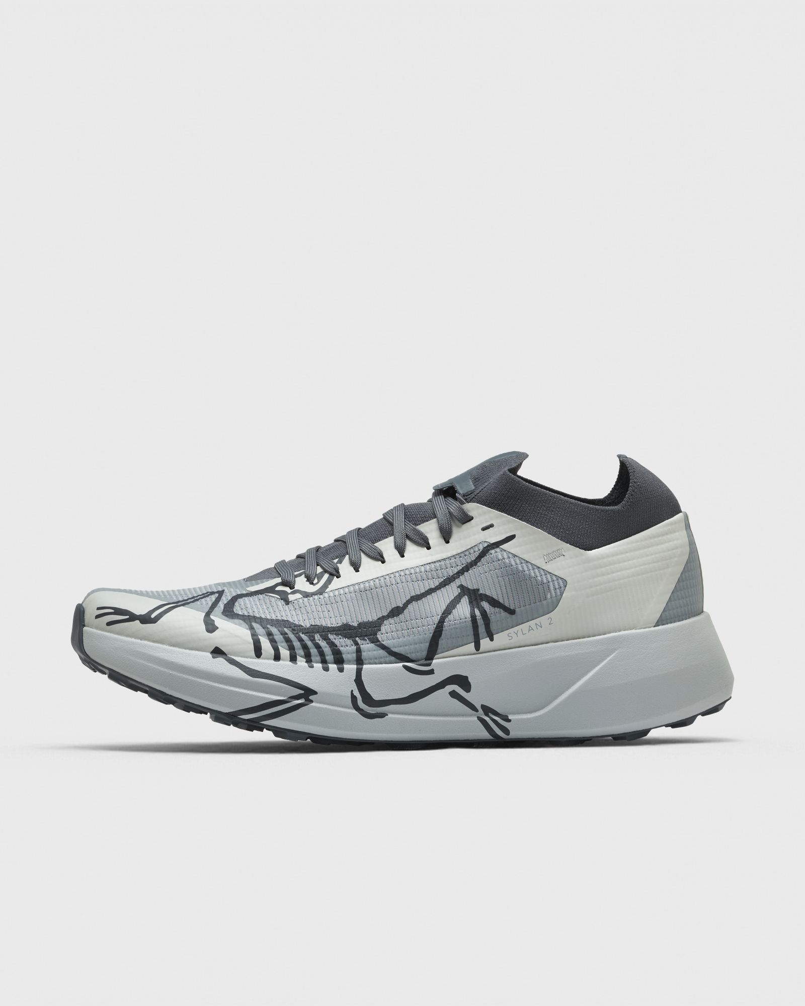 Arc'teryx SYLAN 2, multi