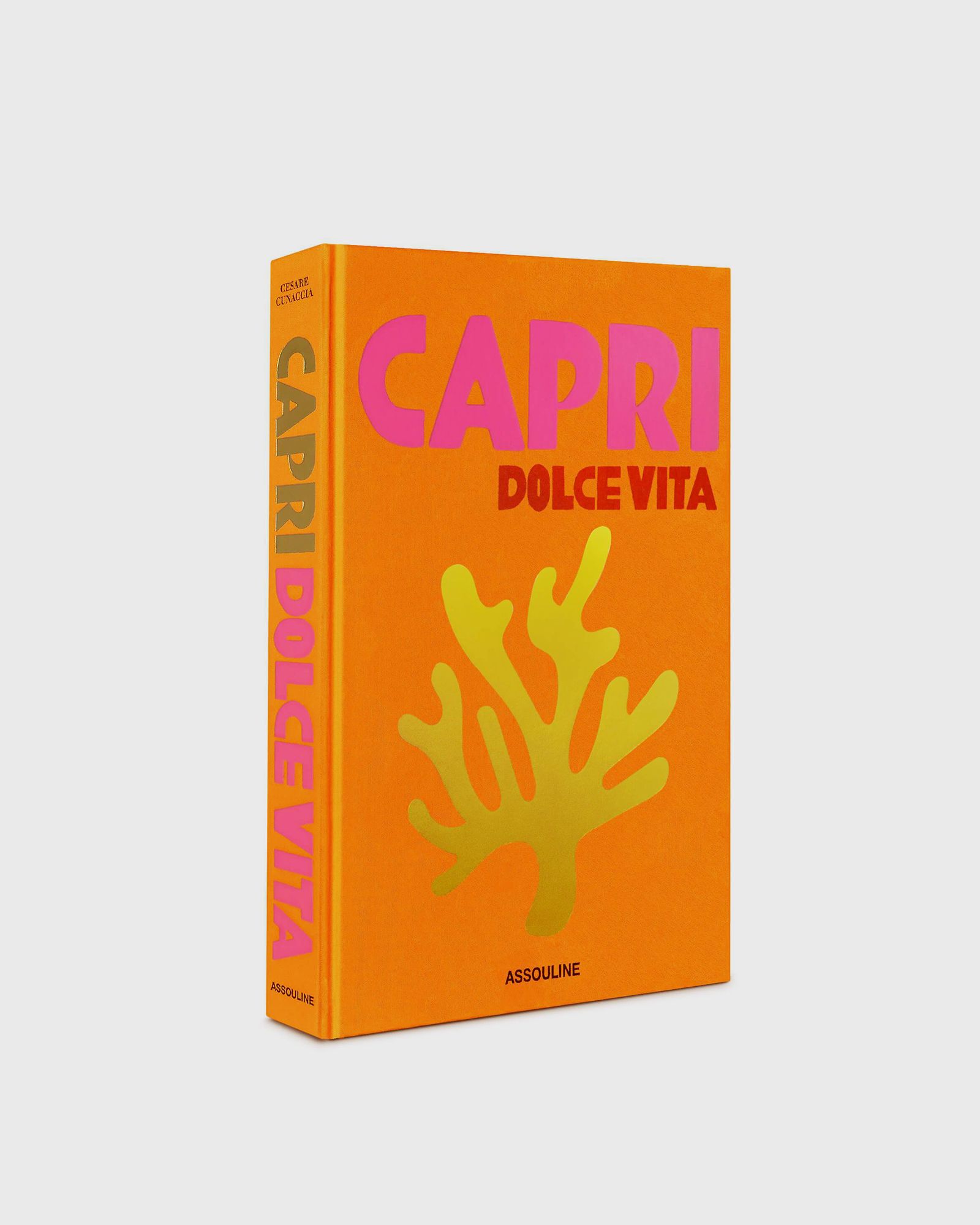 Assouline "Capri Dolce" Vita by Cesare Cunaccia, multi