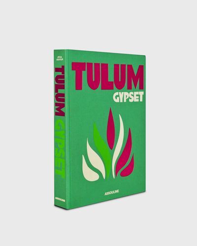 Assouline "Tulum Gypset" by Julia Chaplin, multi