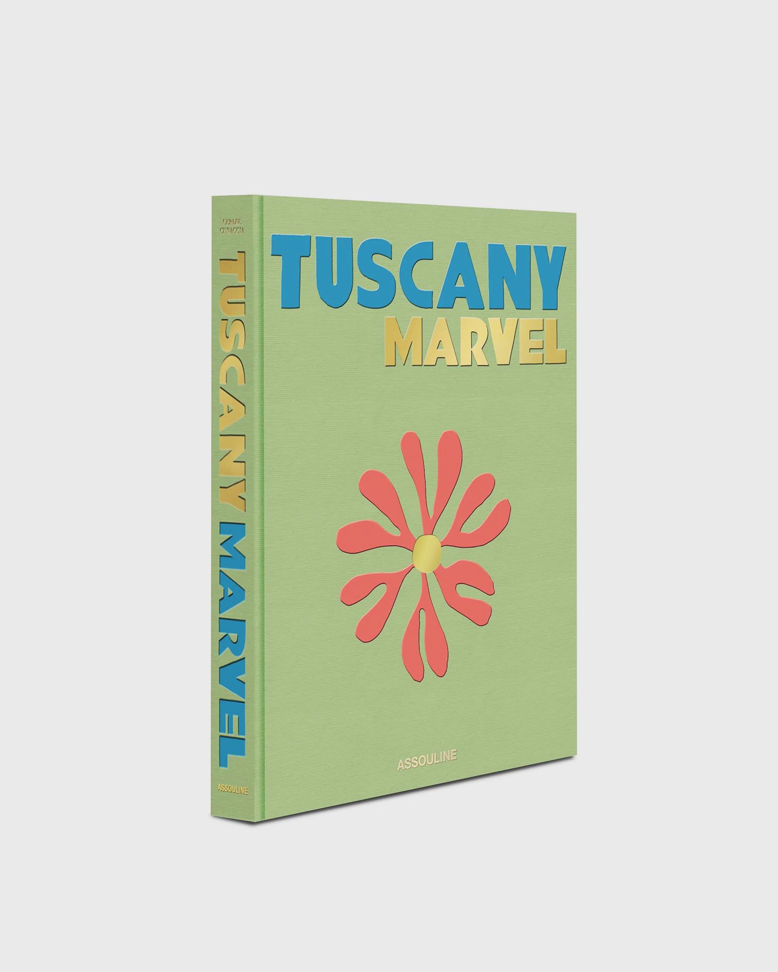 Assouline Men's Multi "Tuscany Marvel" By Cesare Cunaccia