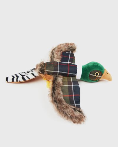 Barbour Pheasant Dg To, green
