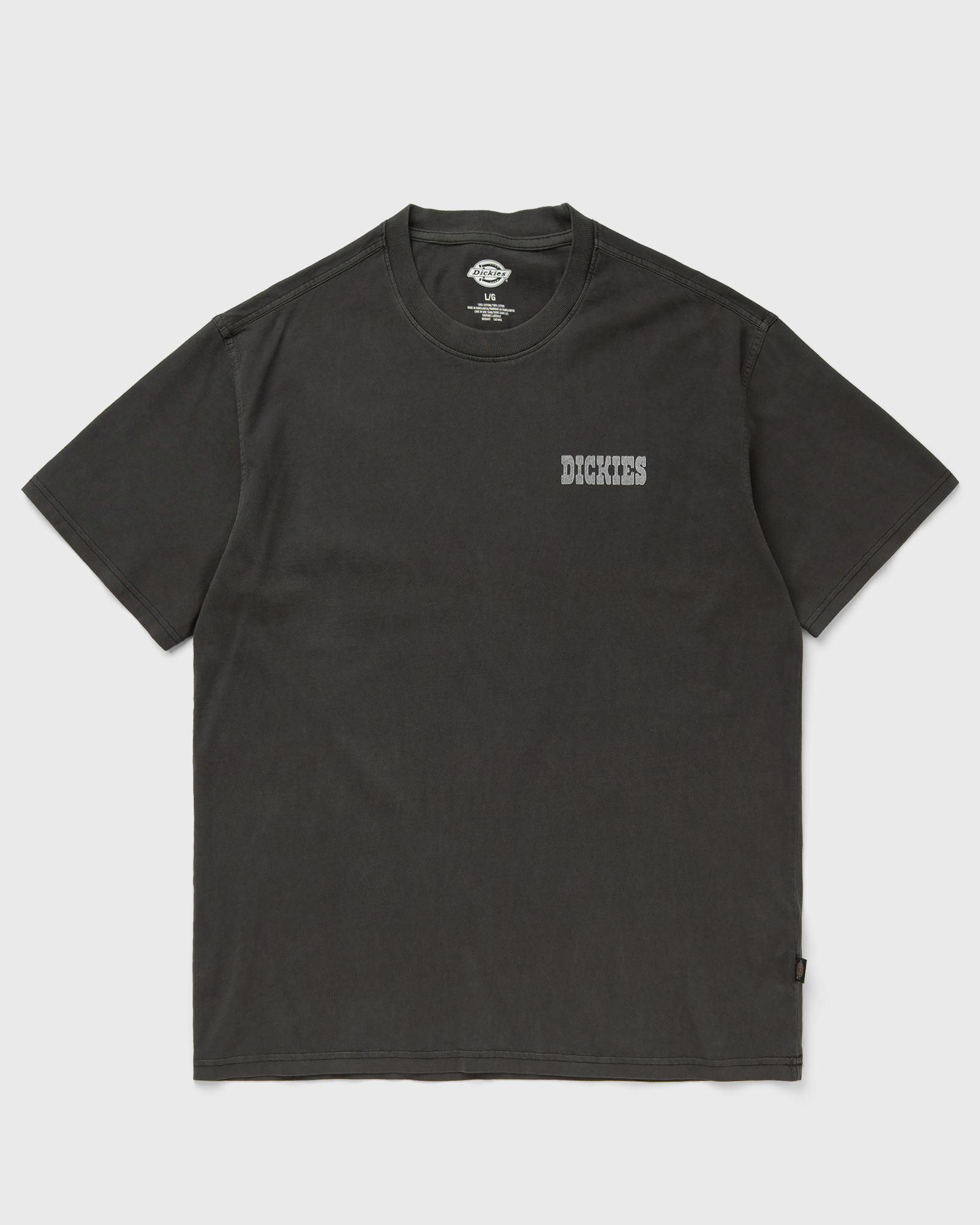 Dickies BUCHTELL SS TEE, black