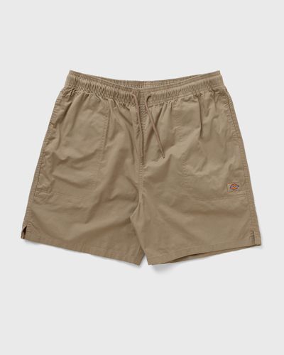 Dickies PELICAN RAPIDS, brown