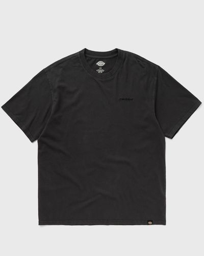 Dickies PLENTYWOOD TEE SS, black