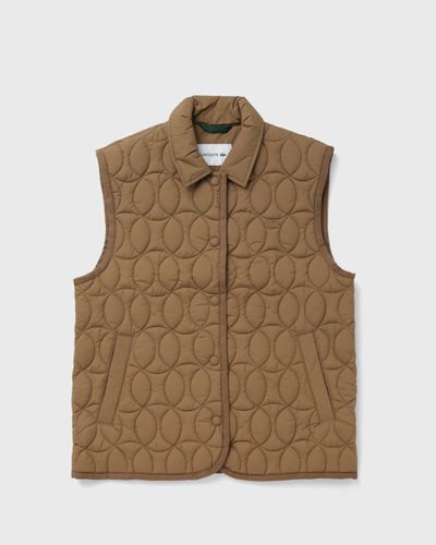 Lacoste VEST, brown
