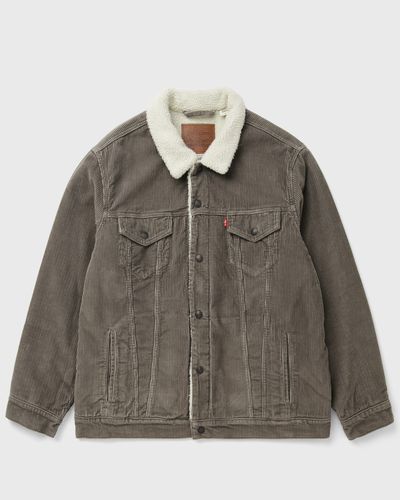 Levis RELAXED FIT SHERPA TRUCKER, grey