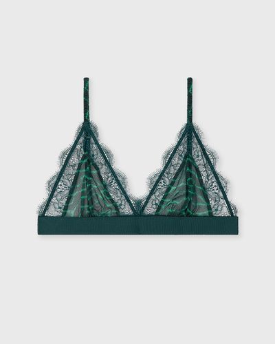 love stories Love Lace, green