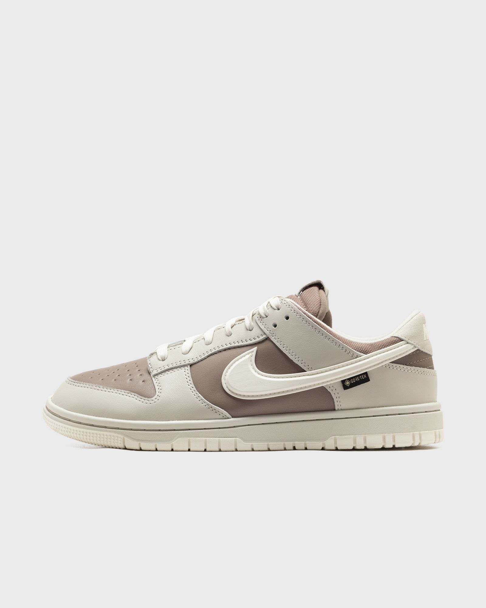 Nike DUNK LOW GTX
