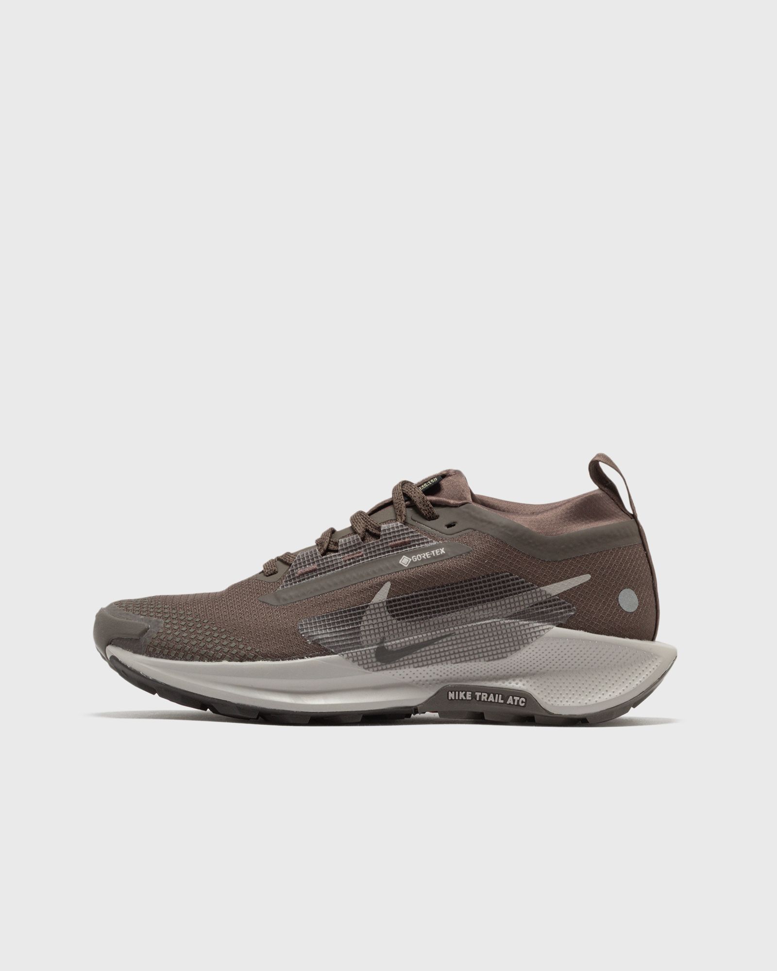 Nike WMNS PEGASUS TRAIL 5 GTX, grey