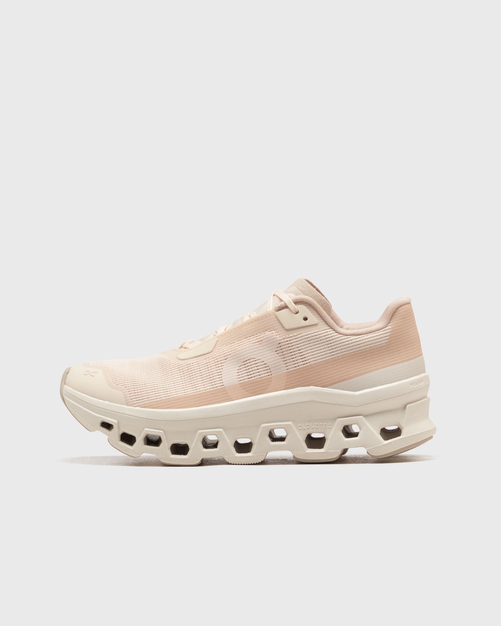 On WMNS Cloudmonster Void, grey