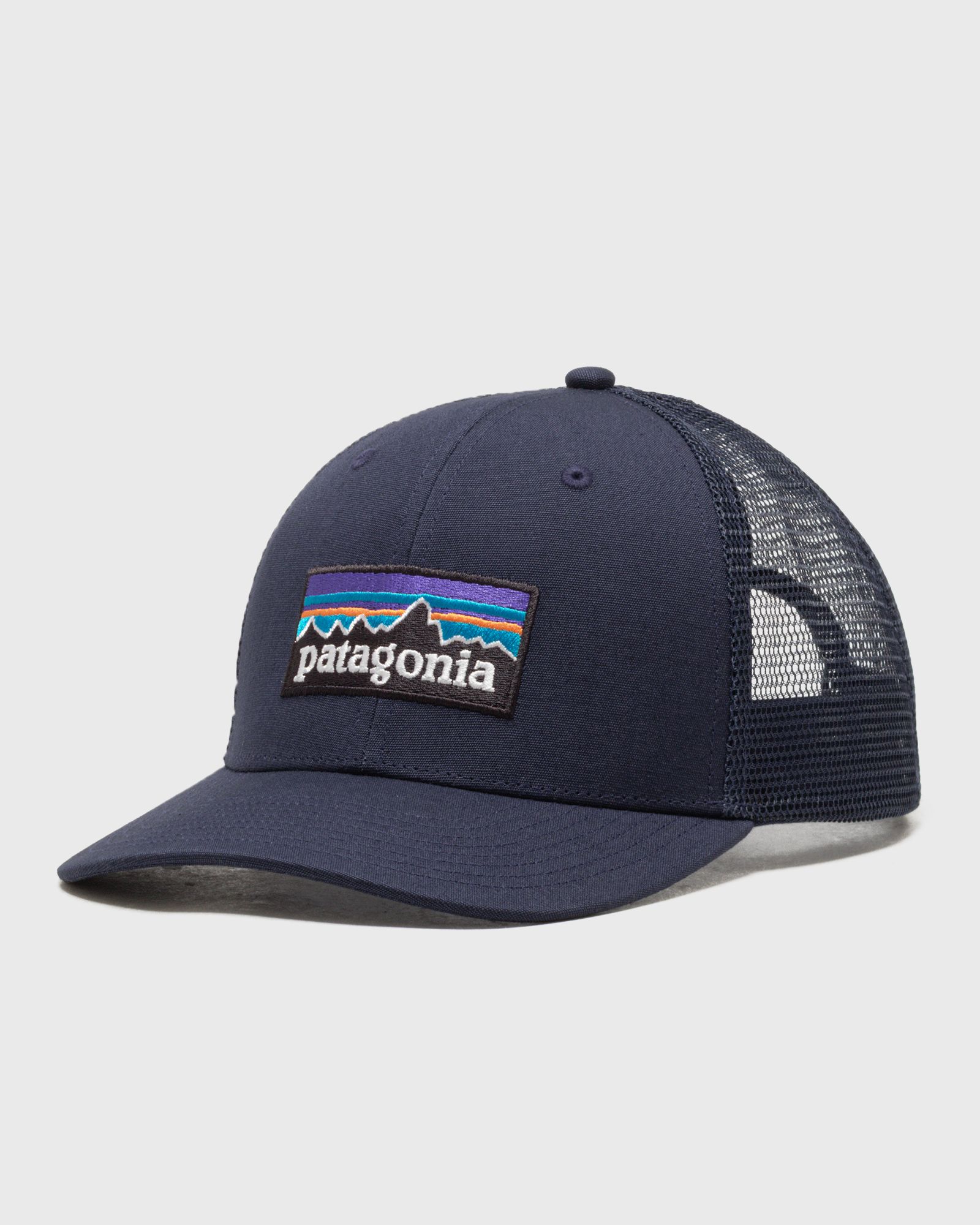 Patagonia P-6 Logo Trucker Hat, blue