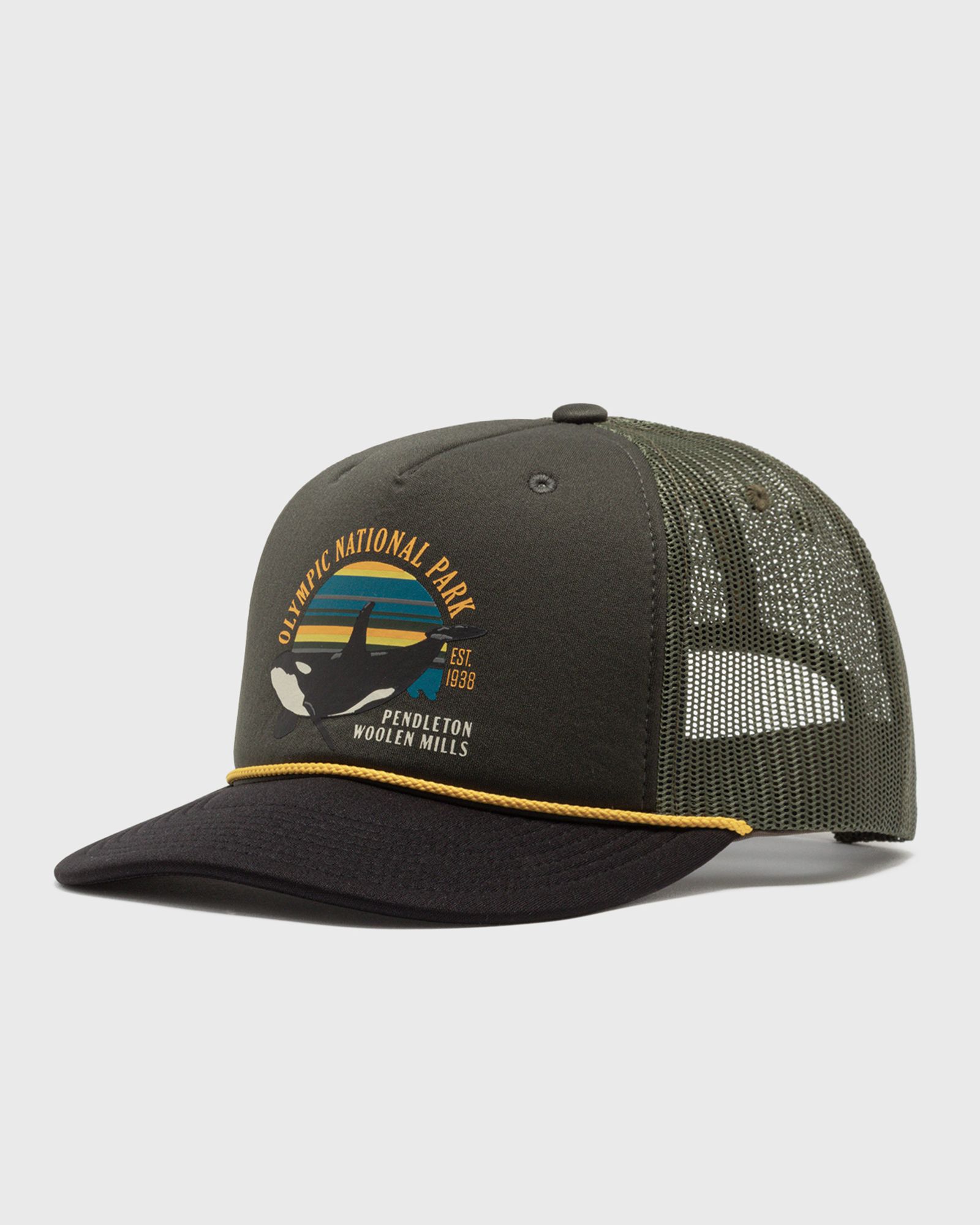 Pendleton NATIONAL PARK TRUCKER, grey