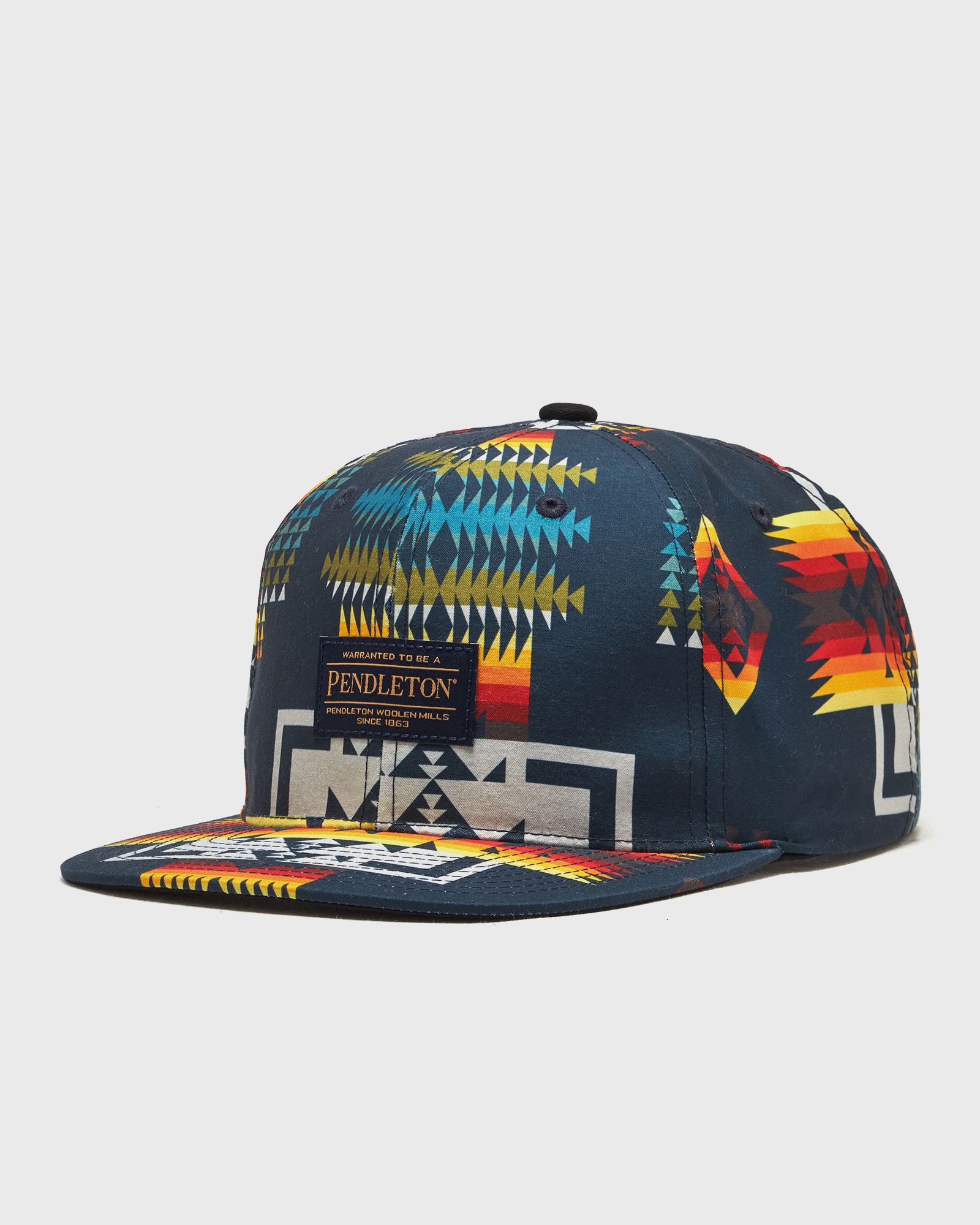 PRINTED SNAPBACK HAT