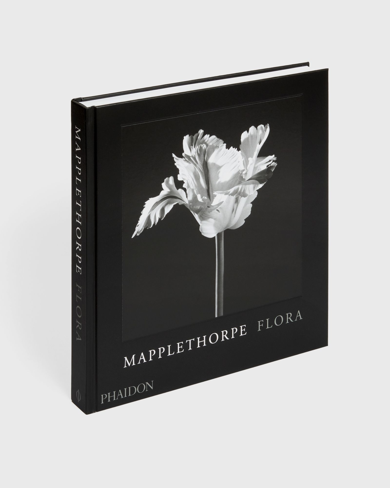 PHAIDON Robert Mapplethorpe, multi