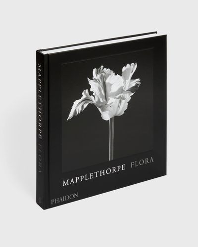 PHAIDON Robert Mapplethorpe, multi