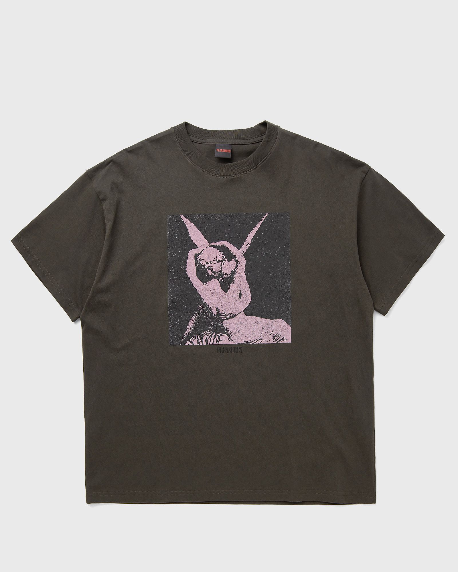 Pleasures ANGEL T-SHIRT, grey