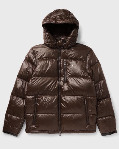 Polo Ralph Lauren INSULATED BOMBER, brown