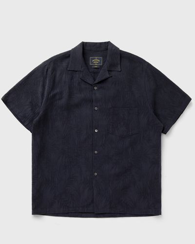 Portuguese Flannel Palm, blue