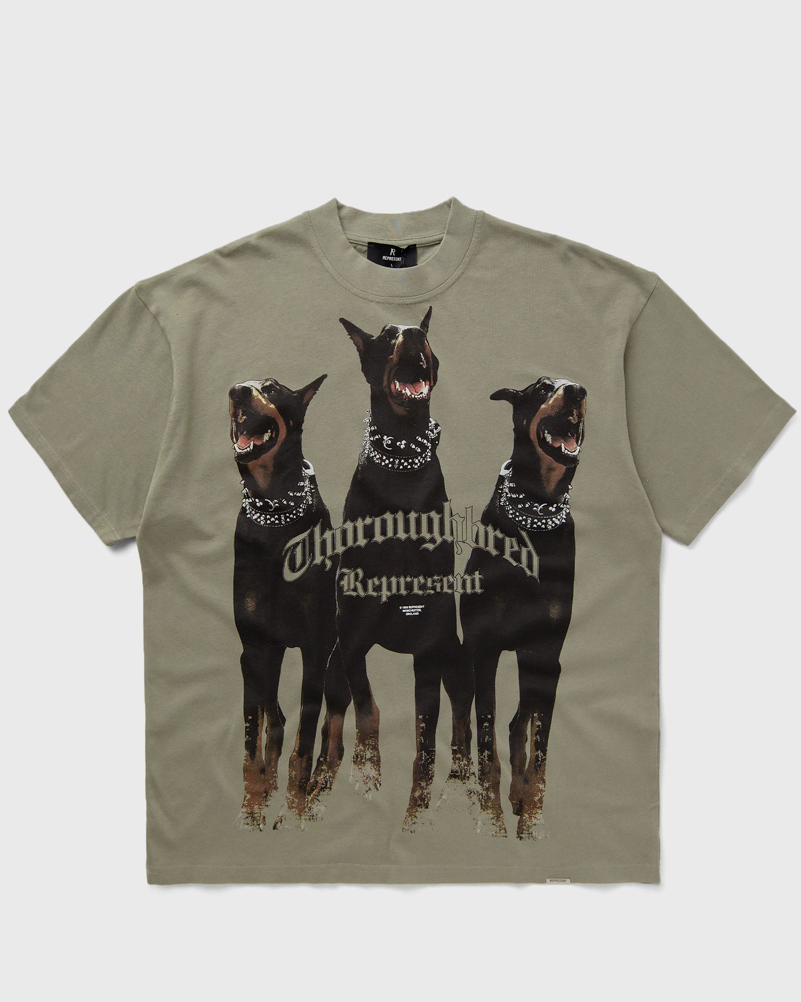 Represent THOROUGHBRED T-SHIRT, green