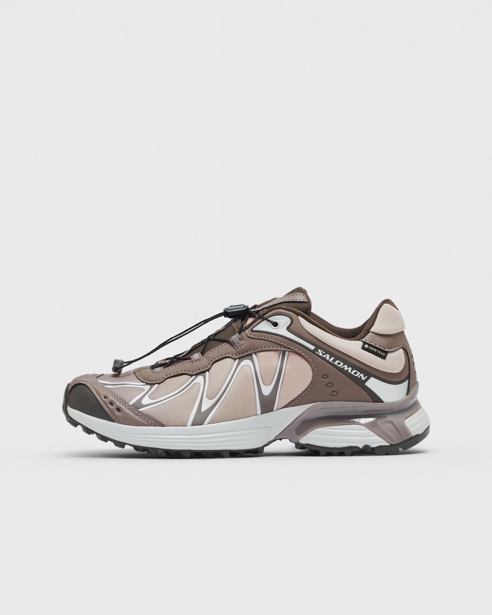 Salomon XT-WHISPER GTX