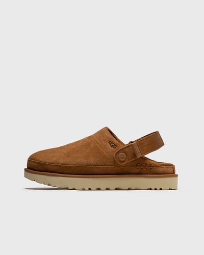 Ugg W GOLDENSTAR CLOG, brown